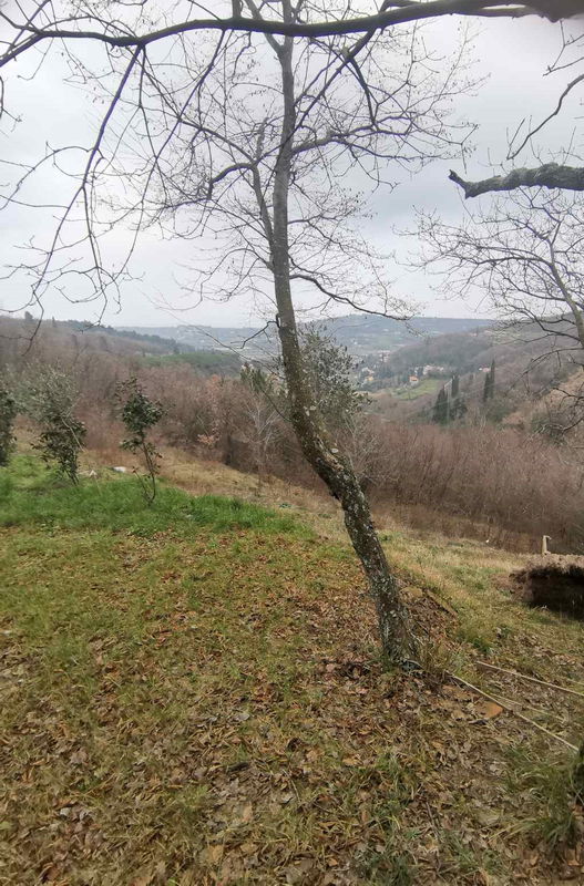 Lokacija: Obalno - kraška, Piran, Strunjan