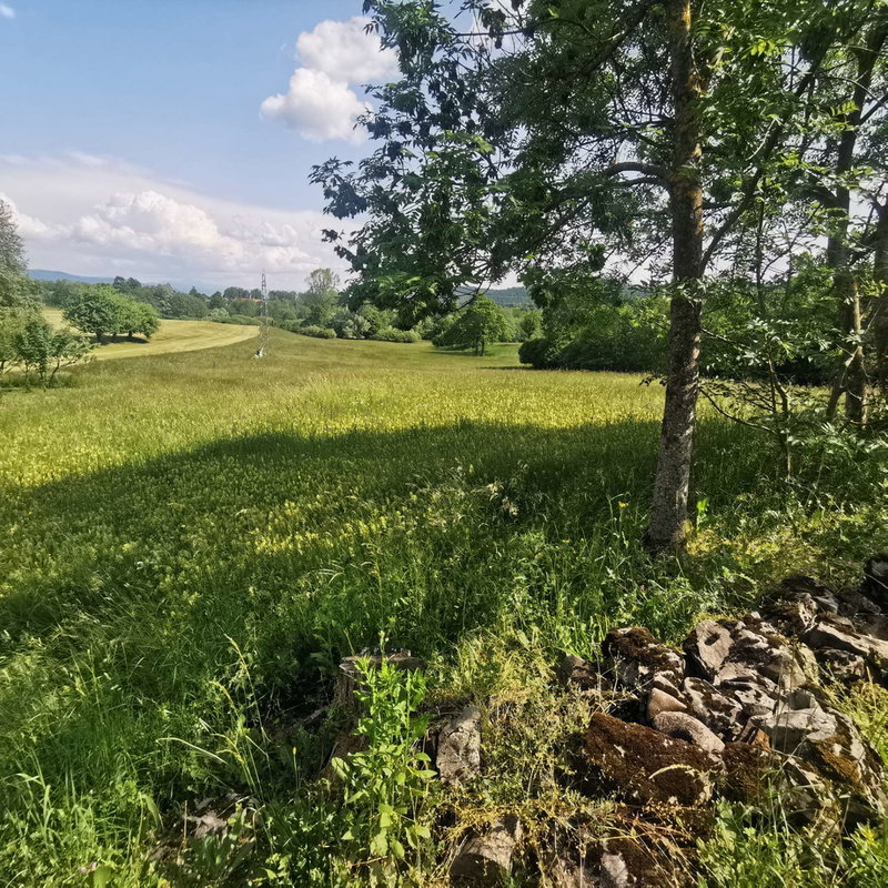 Lokacija: Notranjsko - kraška, Postojna, Goriče