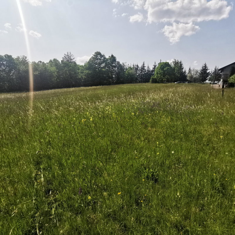 Lokacija: Notranjsko - kraška, Postojna, Goriče