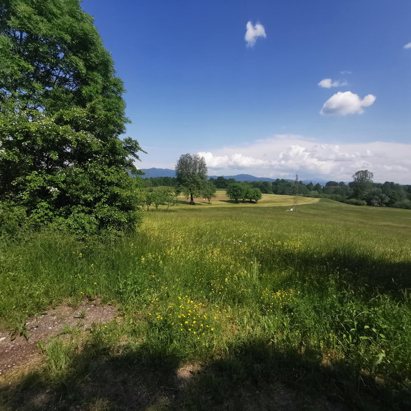 Lokacija: Notranjsko - kraška, Postojna, Goriče