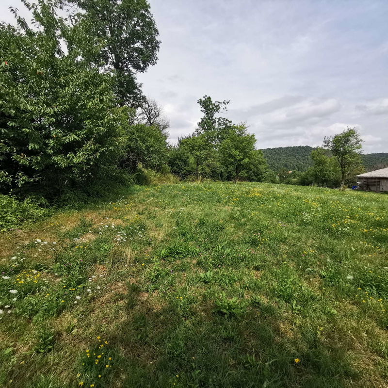 Lokacija: Notranjsko - kraška, Postojna, Studeno