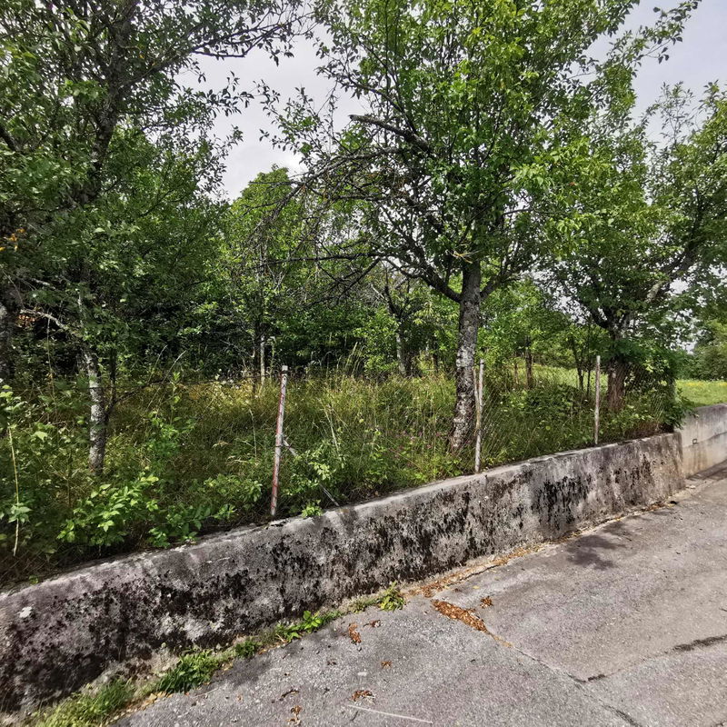 Lokacija: Notranjsko - kraška, Postojna, Studeno