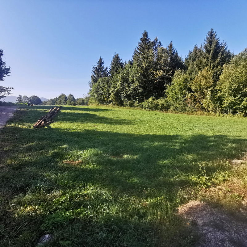 Lokacija: Notranjsko - kraška, Cerknica, Ivanje Selo