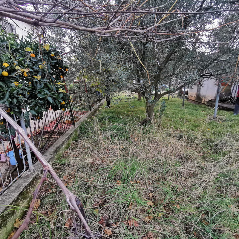 Lokacija: Obalno - kraška, Izola, Center