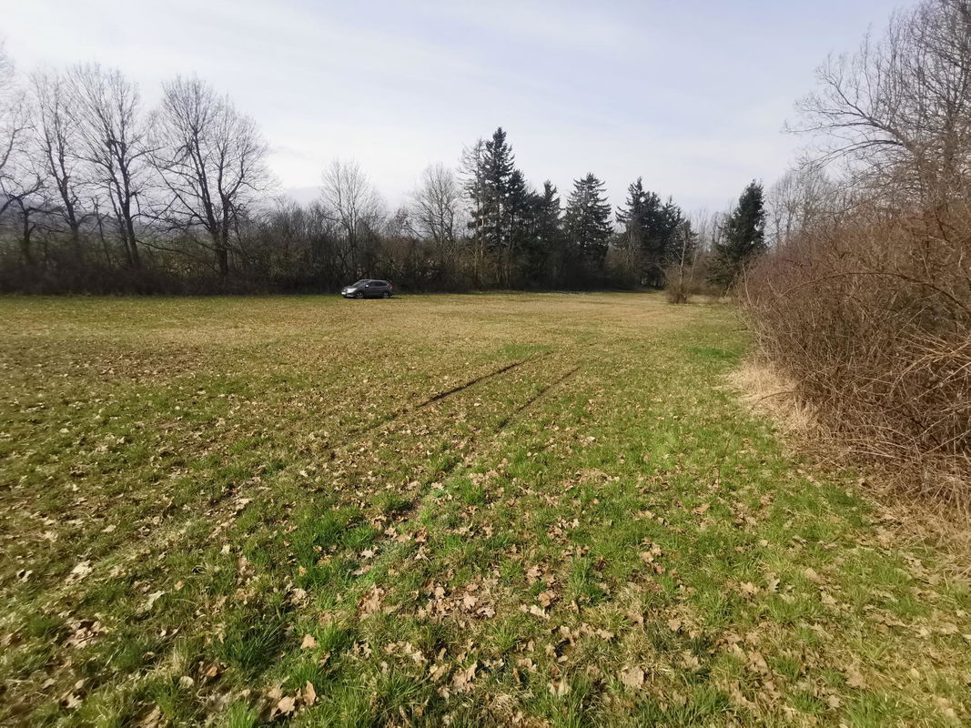 Lokacija: Notranjsko - kraška, Postojna, Grobišče