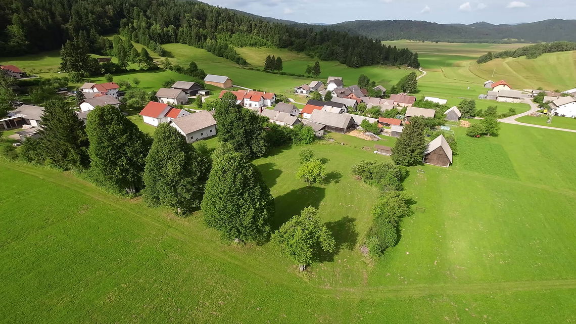 Location: Notranjsko - Kraška, Bloke, Topol