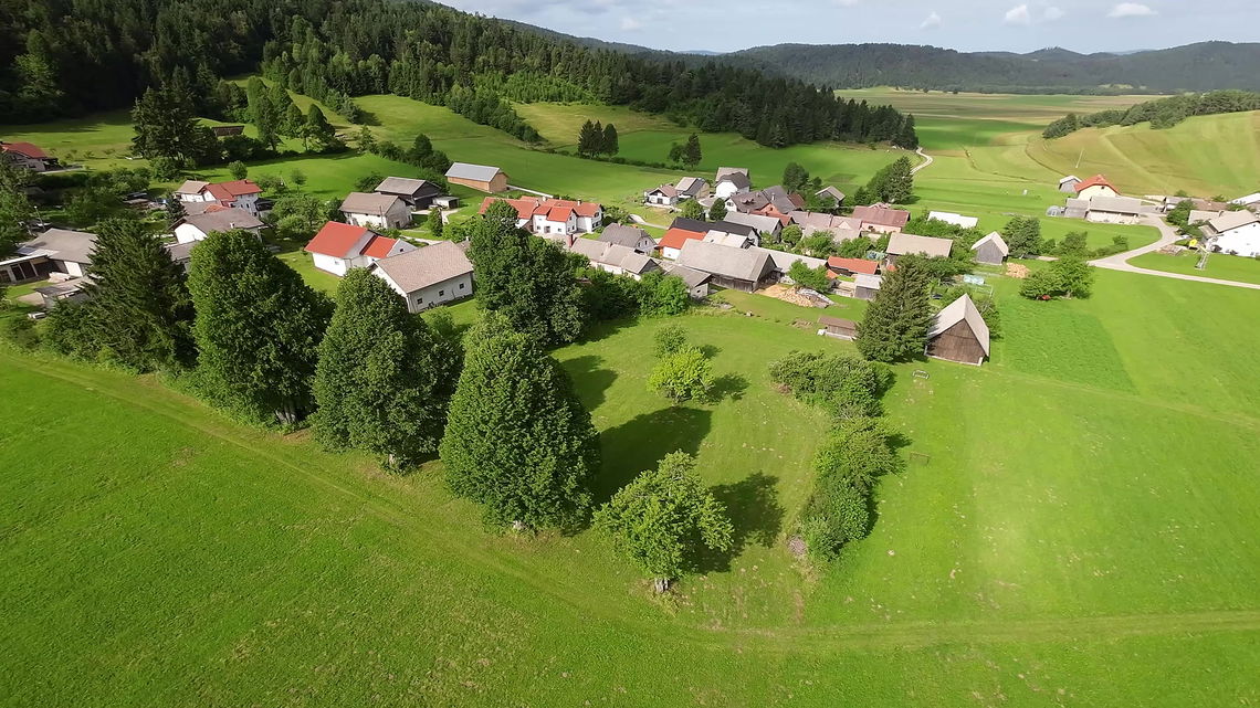 Location: Notranjsko - Kraška, Bloke, Topol