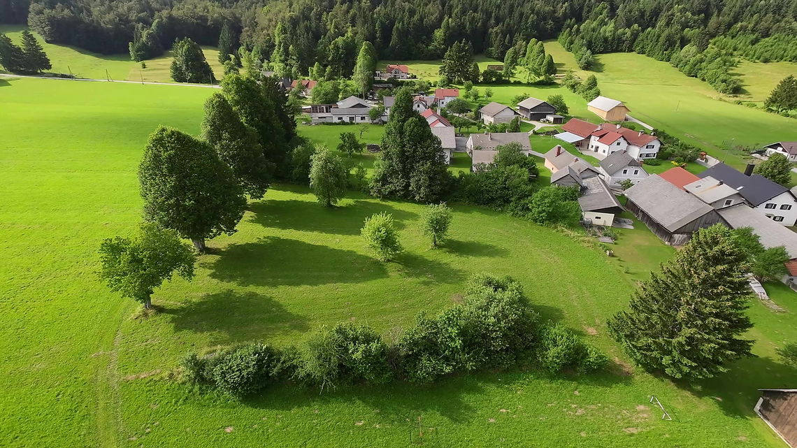 Location: Notranjsko - Kraška, Bloke, Topol