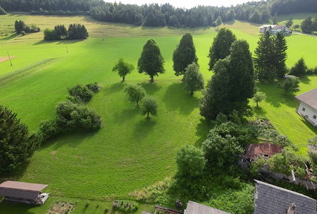 Lokacija: Notranjsko - kraška, Bloke, Topol