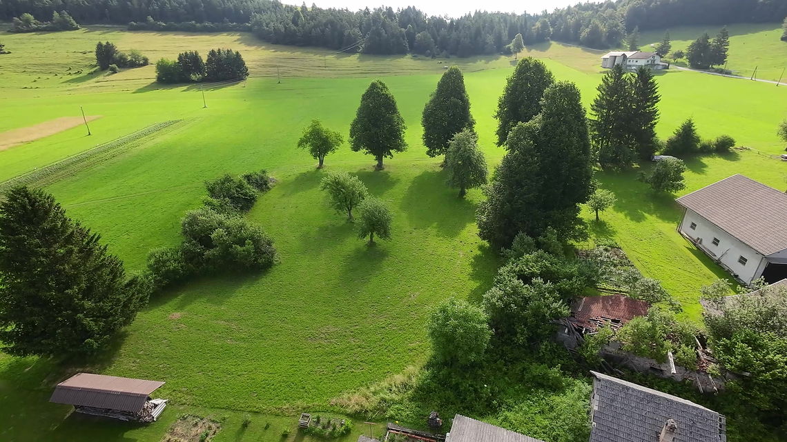 Location: Notranjsko - Kraška, Bloke, Topol