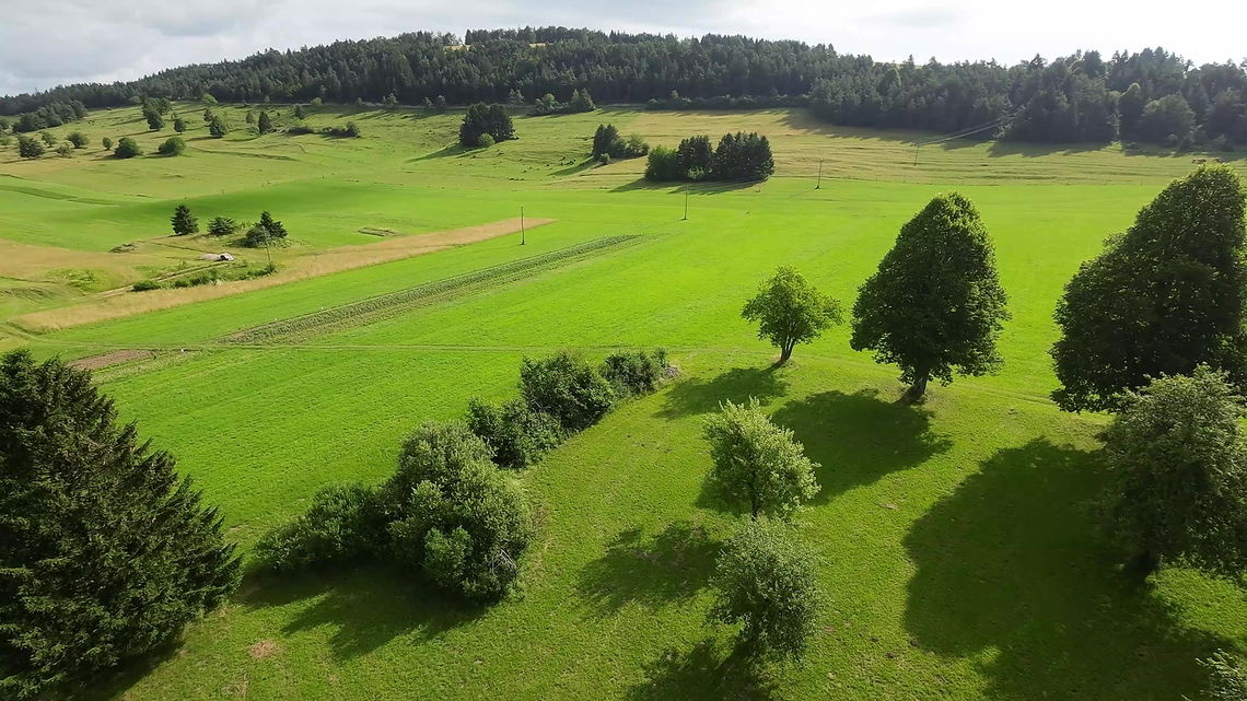 Location: Notranjsko - Kraška, Bloke, Topol