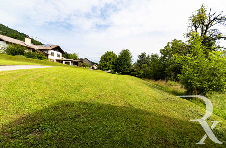 Lokacija: Ljubljana okolica, Borovnica, Laze pri Borovnici