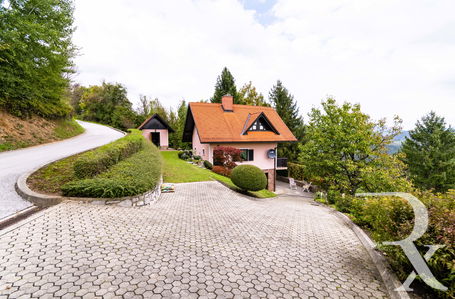 Lokacija: Spodnjeposavska, Sevnica, Apnenik pri Boštanju