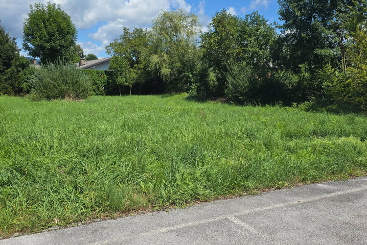 Lokacija: Ljubljana okolica, Domžale, Radomlje
