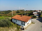 Location: Goriška, Brda, Medana