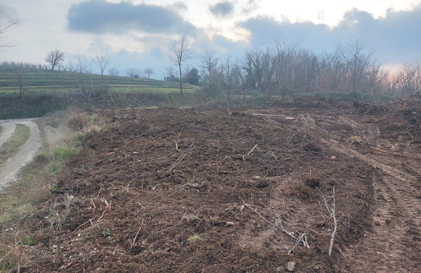 Lokacija: Goriška, Nova Gorica, Šempas