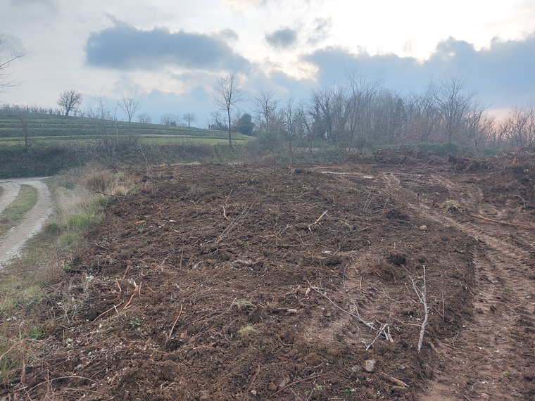 Lokacija: Goriška, Nova Gorica, Šempas