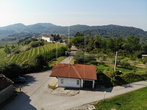 Location: Goriška, Brda, Medana