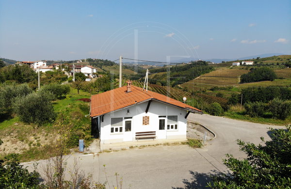 Location: Goriška, Brda, Medana