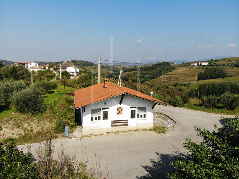 Location: Goriška, Brda, Medana