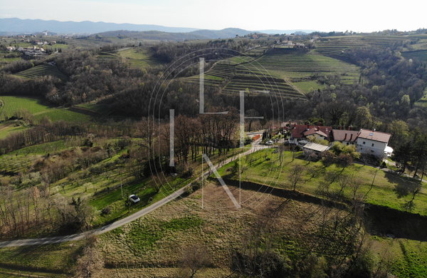 Lokacija: Goriška, Brda, Podsabotin