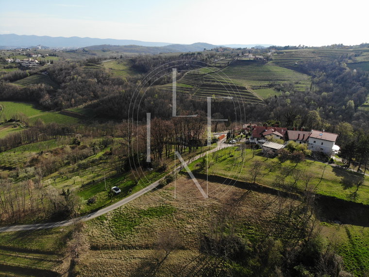 Lokacija: Goriška, Brda, Podsabotin