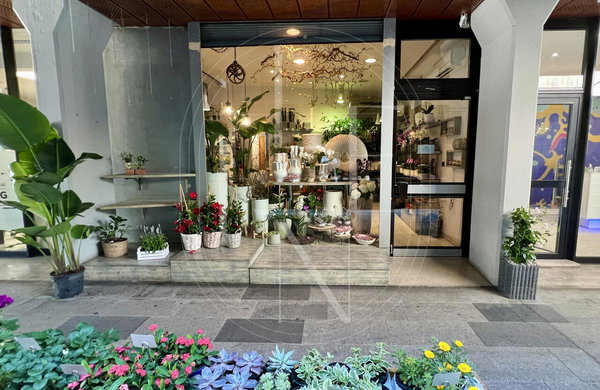 Location: Goriška, Nova Gorica, Nova Gorica