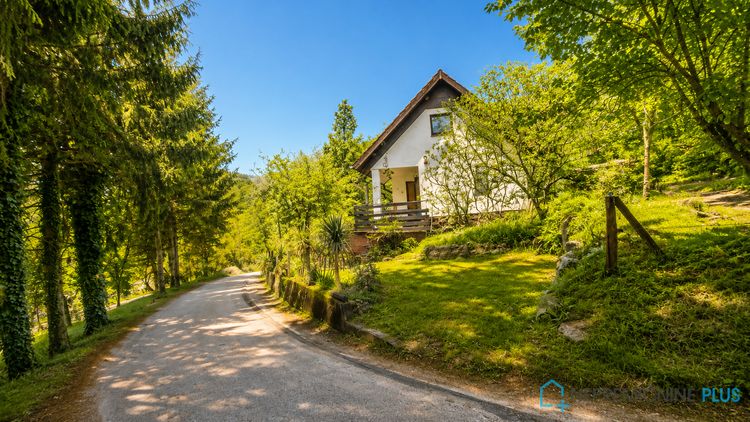 Lokacija: Jugovzhodna Slovenija, Škocjan, Močvirje