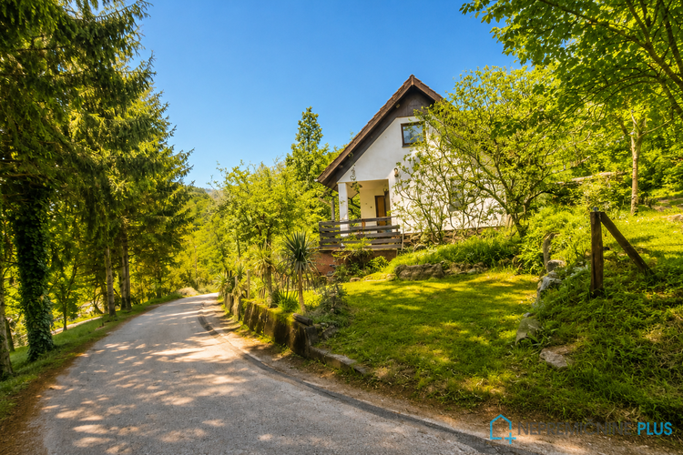 Location: Jugovzhodna Slovenija, Škocjan, Močvirje