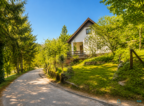 Lokacija: Jugovzhodna Slovenija, Škocjan, Močvirje