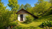 Lokacija: Jugovzhodna Slovenija, Škocjan, Močvirje