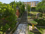 Lokacija: Obalno - kraška, Koper, Semedela