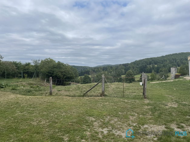 Lokacija: Jugovzhodna Slovenija, Kočevje, Morava