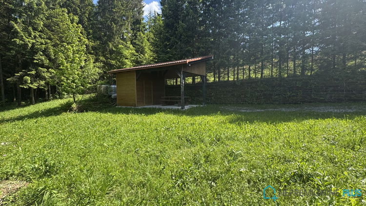 Lokacija: Ljubljana okolica, Grosuplje, Šmarje - Sap