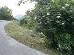 Lokacija: Gorenjska, Preddvor, Bašelj