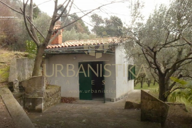 Lokacija: Obalno - kraška, Koper