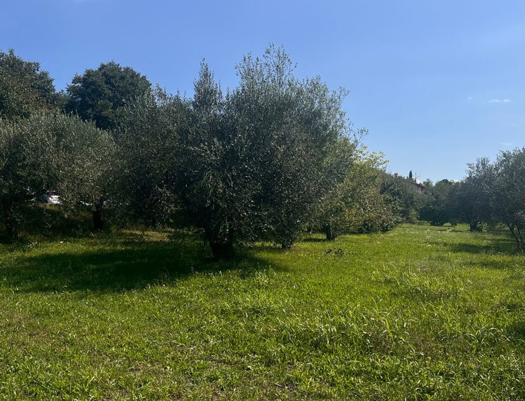 Lokacija: Obalno - kraška, Koper, Dekani