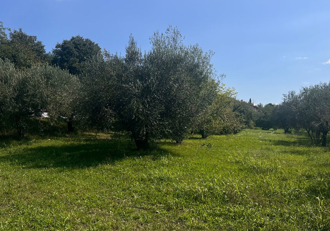 Lokacija: Obalno - kraška, Koper, Dekani