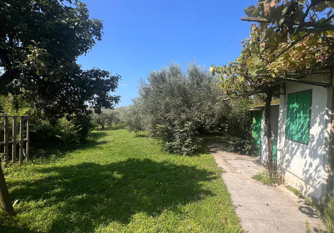 Lokacija: Obalno - kraška, Koper, Dekani