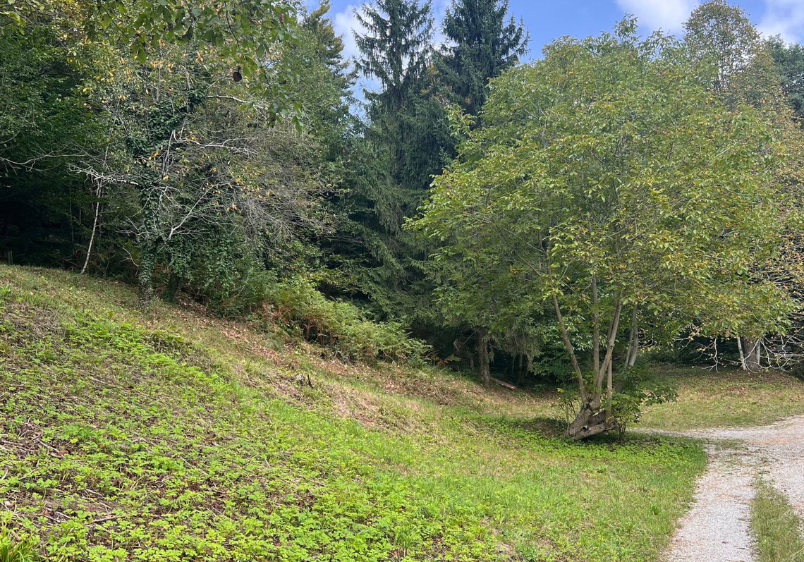 Lokacija: Ljubljana okolica, Vrhnika, Podlipa