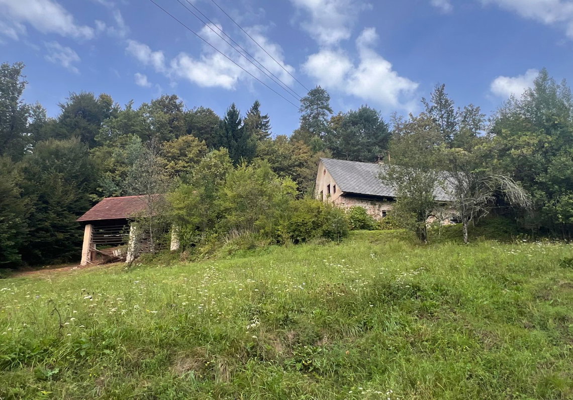 Lokacija: Ljubljana okolica, Vrhnika, Podlipa