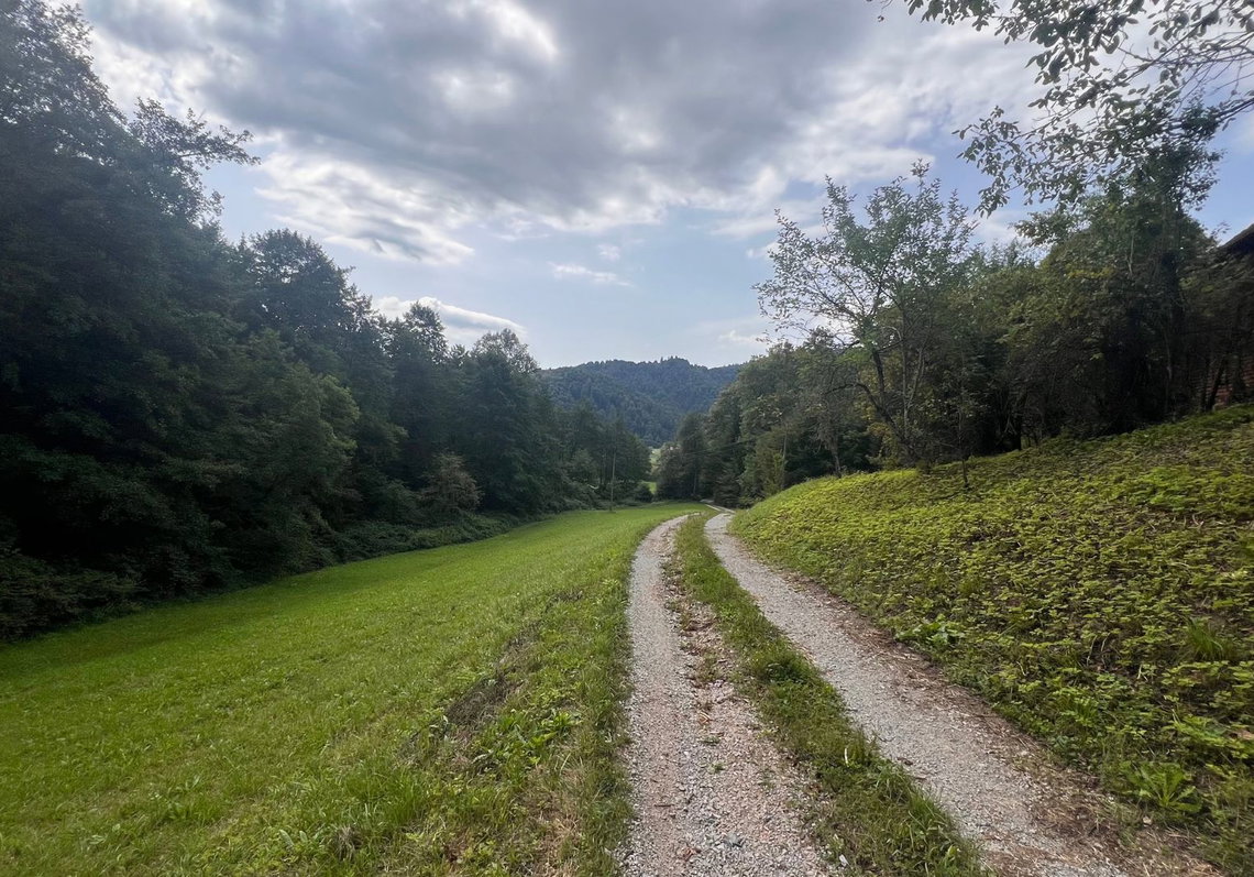 Lokacija: Ljubljana okolica, Vrhnika, Podlipa