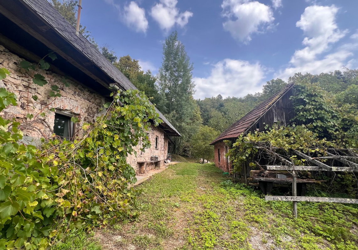 Lokacija: Ljubljana okolica, Vrhnika, Podlipa