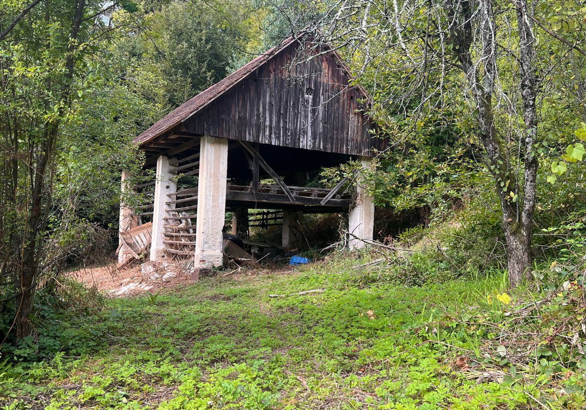Lokacija: Ljubljana okolica, Vrhnika, Podlipa