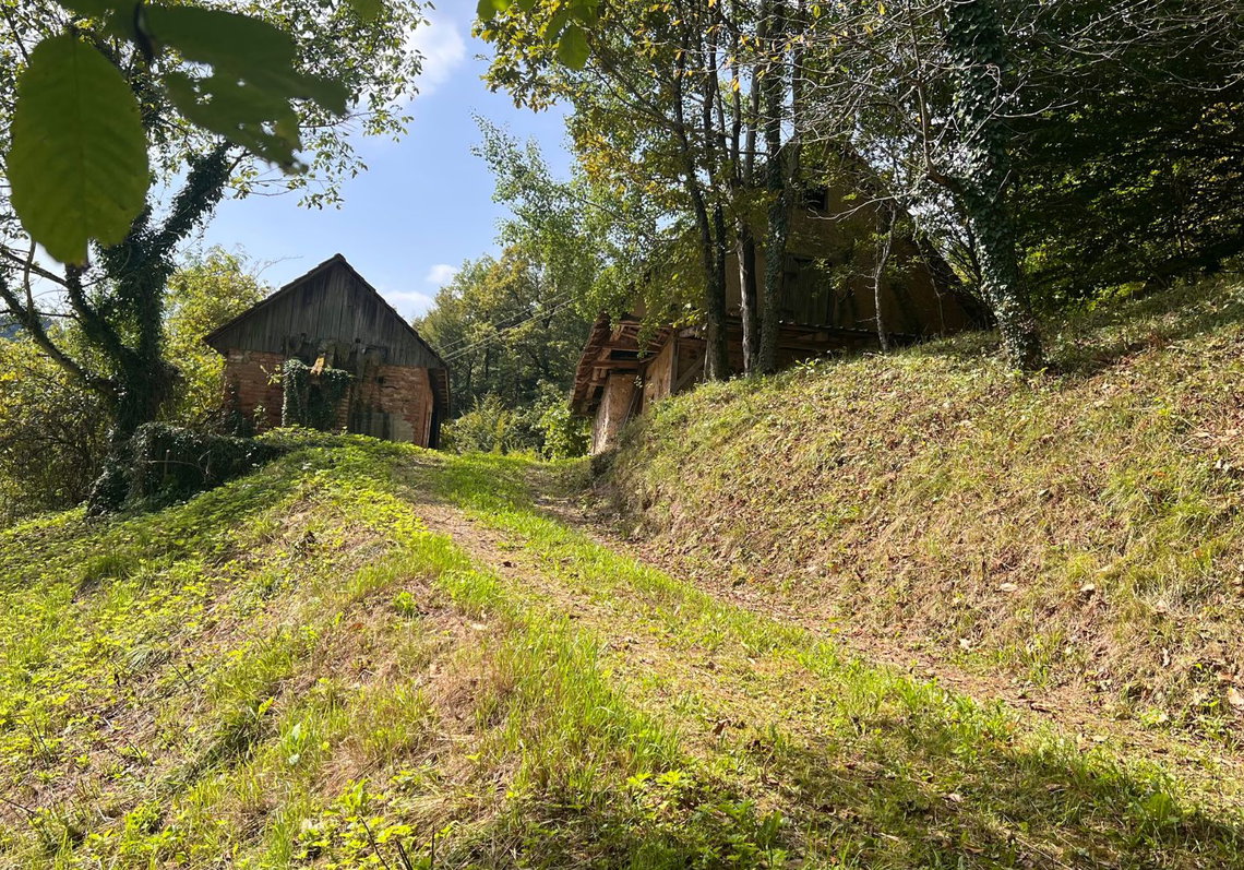 Lokacija: Ljubljana okolica, Vrhnika, Podlipa