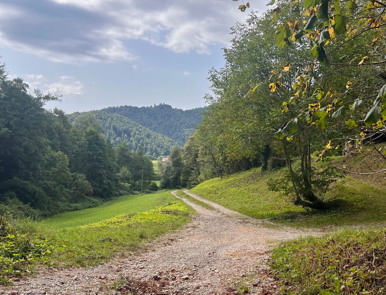 Lokacija: Ljubljana okolica, Vrhnika, Podlipa