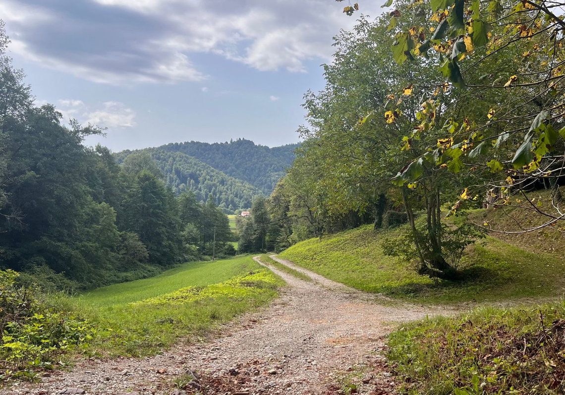 Lokacija: Ljubljana okolica, Vrhnika, Podlipa