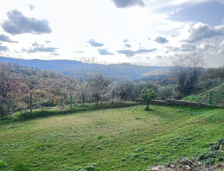 Lokacija: Obalno - kraška, Koper, Puče