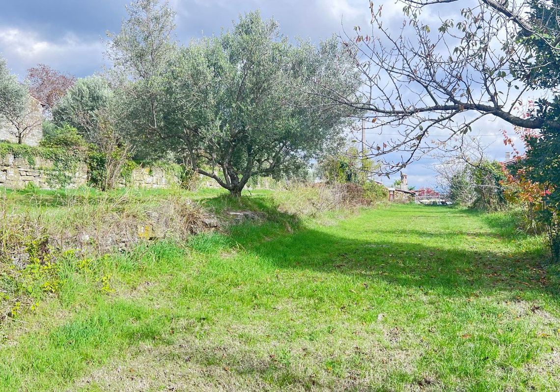 Lokacija: Obalno - kraška, Koper, Puče