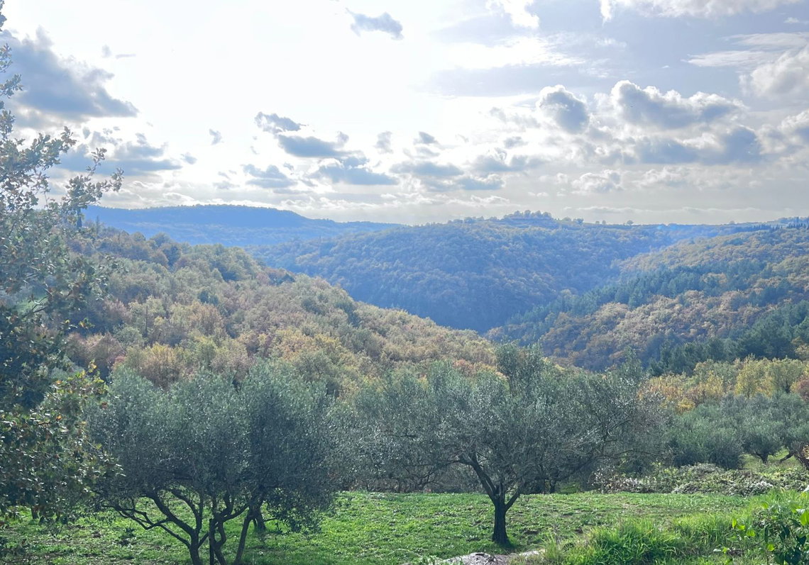 Lokacija: Obalno - kraška, Koper, Puče